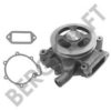 BERGKRAFT BK8801124 Water Pump